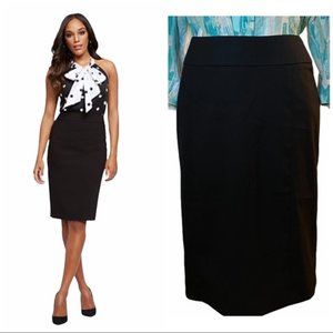 New York & Company Skirt